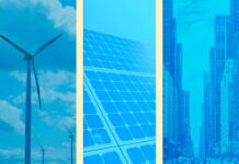 Powering the Future: Exploring Cellular IoT Use Cases in the Energy Sector